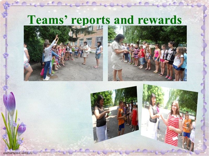 Teams’ reports and rewards